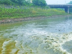 高碑店污水清运多少钱